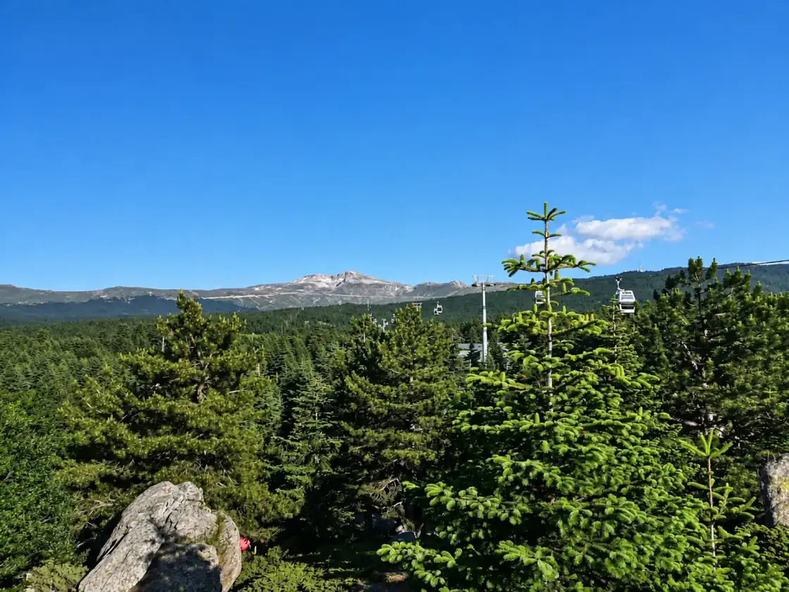 Forests and mountains at Uludağ National Park